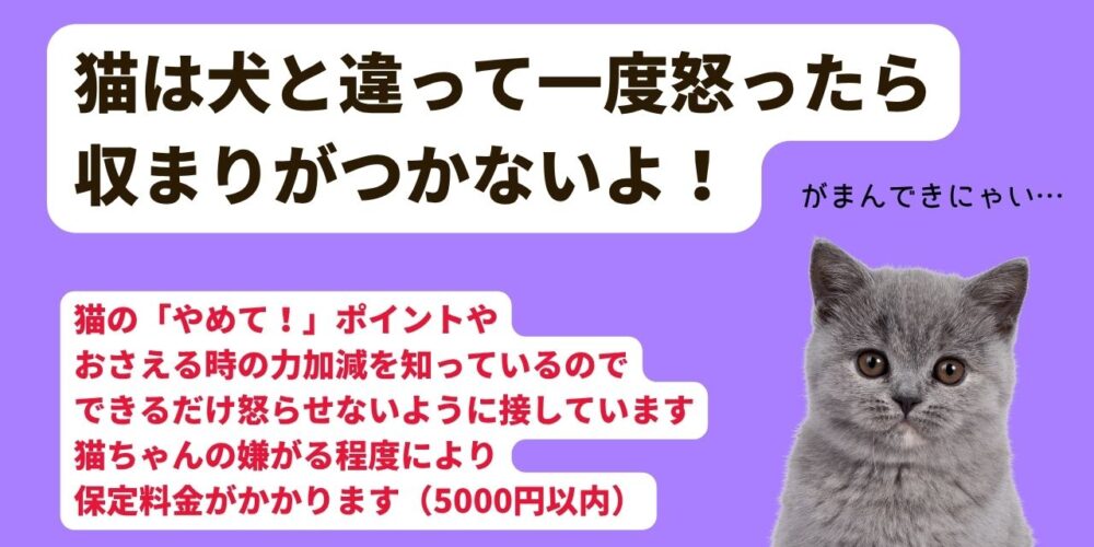 猫のトリミング - 東京都八王子市のペットサロン｜リーデレカーネ