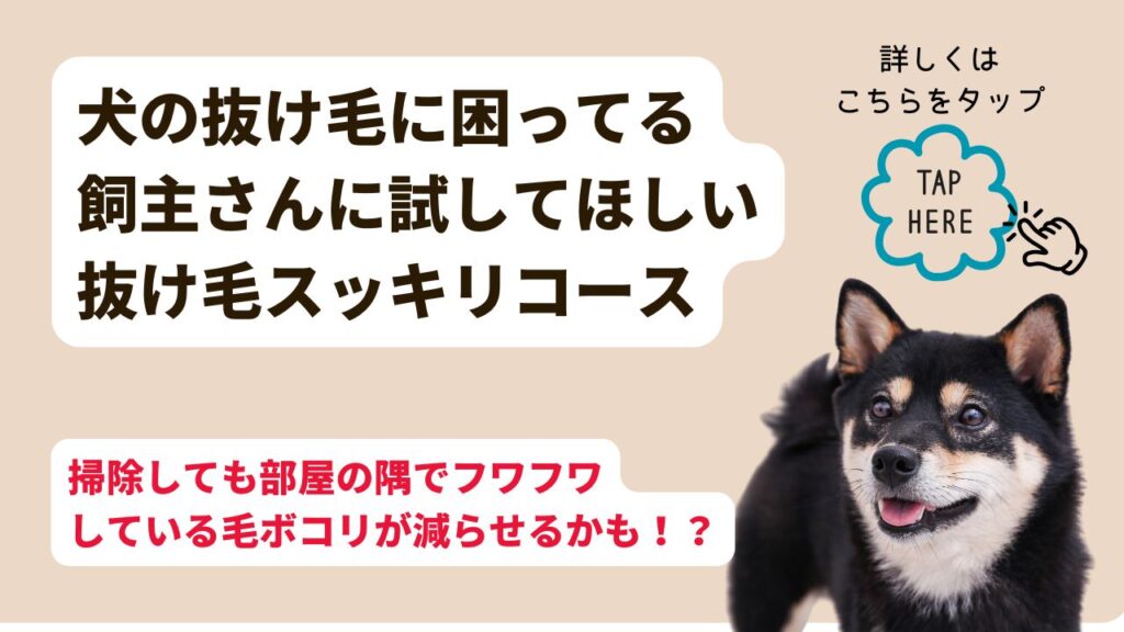 八王子にあるトリミングサロンリーデレカーネで大好評の抜け毛スッキリコースは、柴犬、コーギー、チワワ、ダックス、ポメラニアン、パグ、シェルティ、ゴールデンなどのグルーミング犬種のアンダーコートをプロのレーキング技術で取り除きます。サマーカットよりも抜け毛コースで暑い時期を快適に、お掃除をちょっと楽にしてくれます