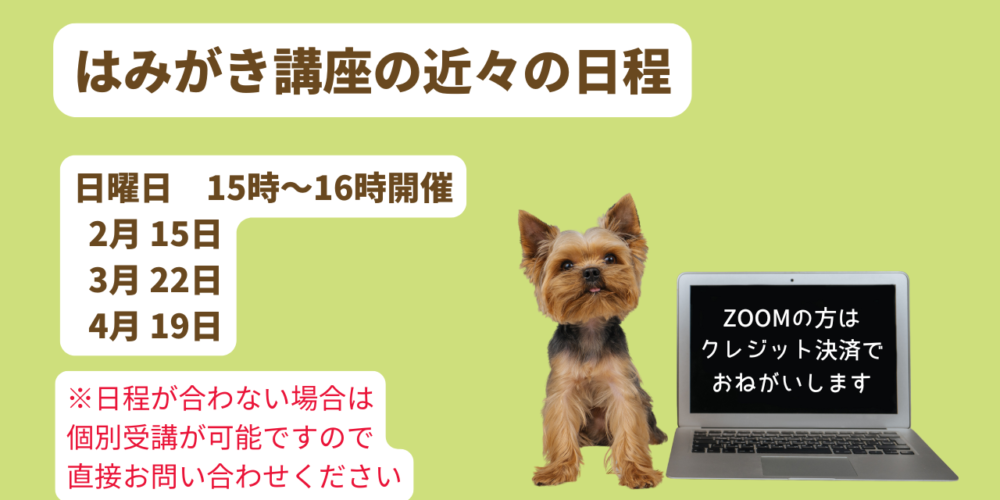 ハミガキランディングページ2025