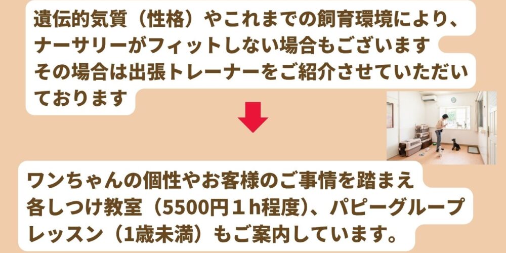 ドッグナーサリー2025 (1)