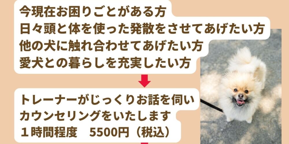 ドッグナーサリー2025